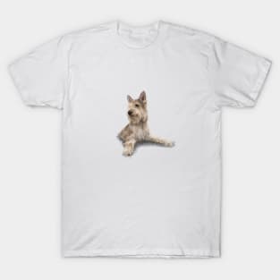 The Berger Picard Dog T-Shirt